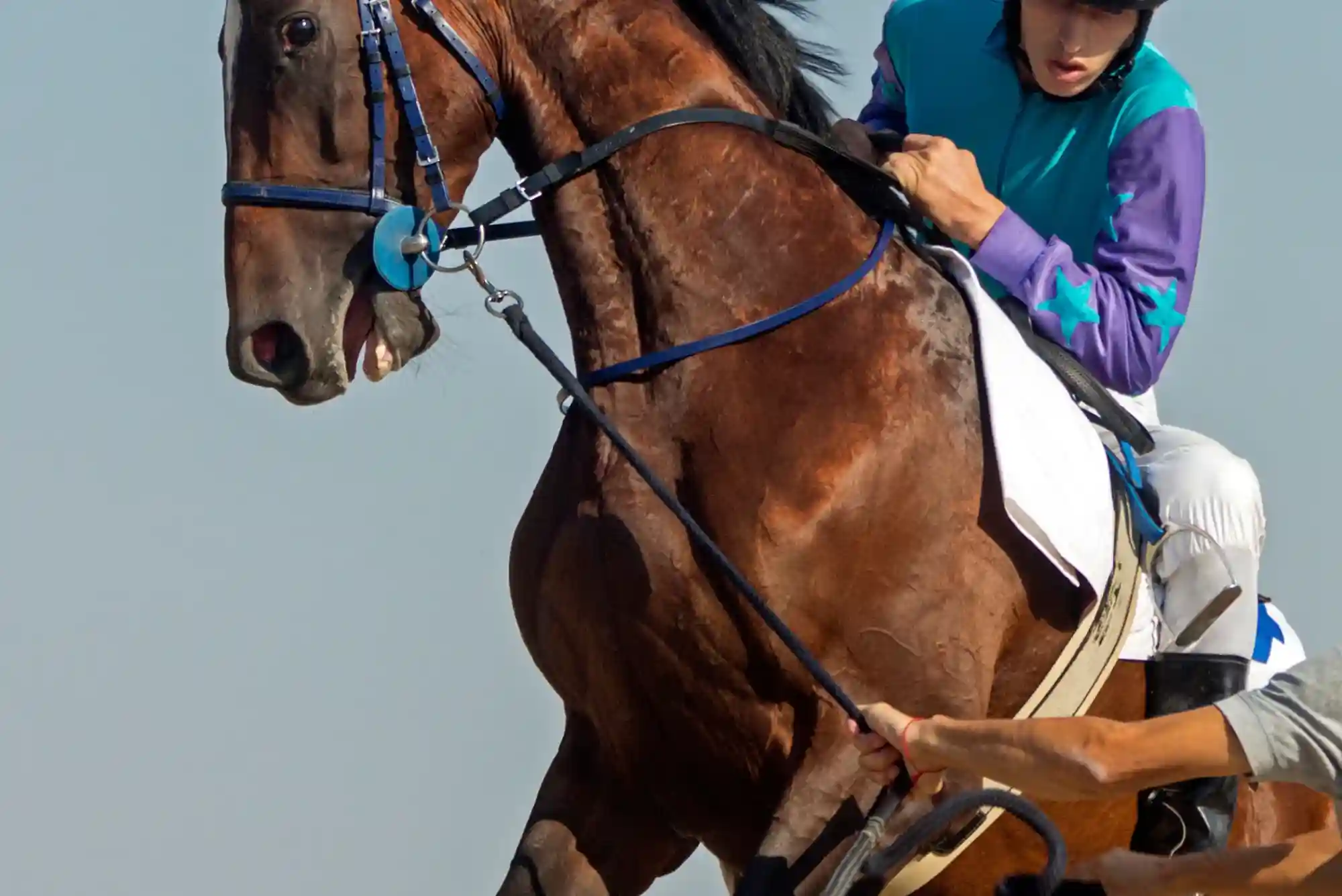 How to Build a Strategy for Horse Racing Bets How to Build a Strategy for Horse Racing Bets