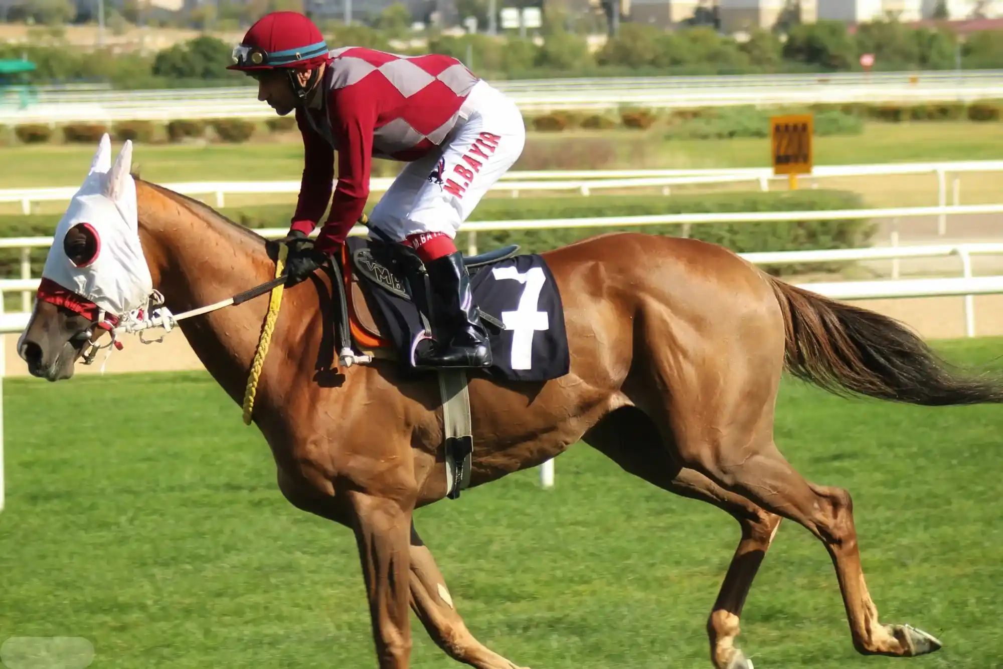 Mastering Horse Racing Betting Odds for Maximum Gains Mastering Horse Racing Betting Odds for Maximum Gains